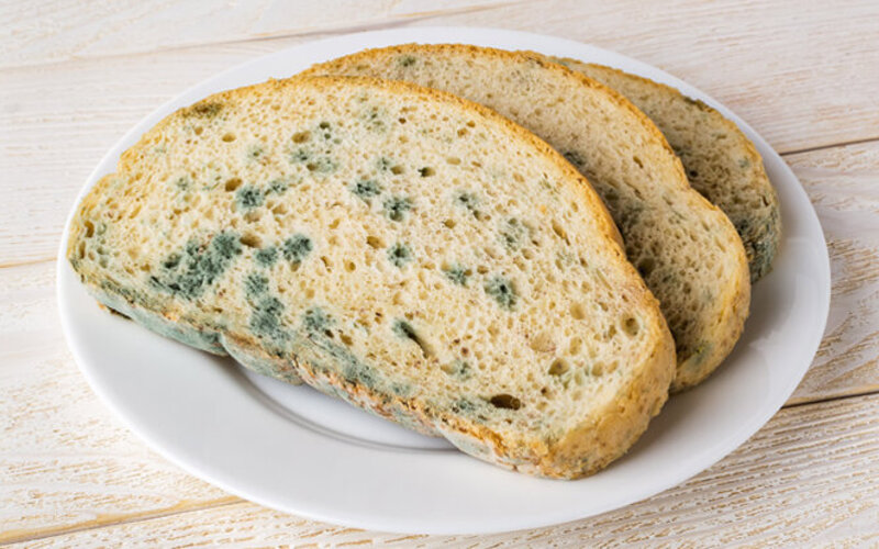 Verschimmeltes Brot liegt auf einem Teller.