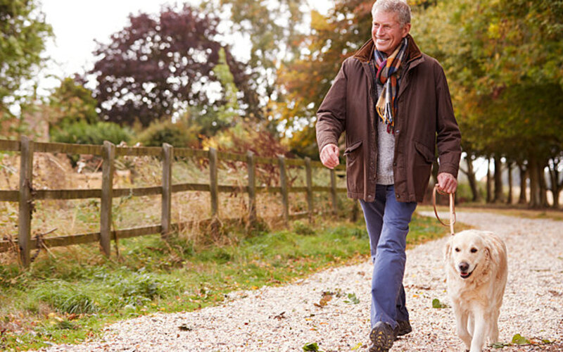 Ein aktiver Senior geht mit seinem Hund auf einem Feldweg spazieren.