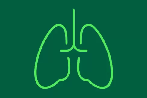 Zu sehen ist ein hellgrünes Symbol von der Lunge auf dunkelgrünem Grund.