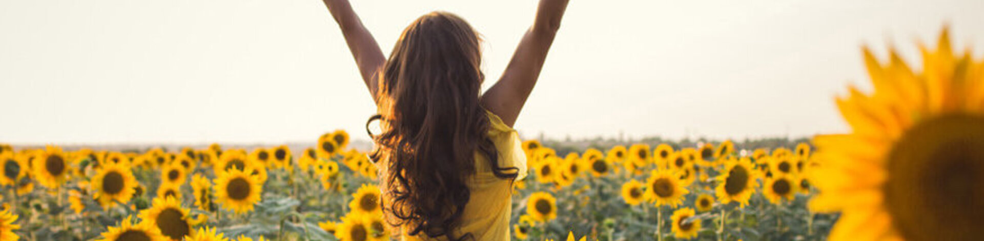 Zu sehen ist eine junge Frau die ihre Arme in einem Sonnenblumenfeld in die Höhe streckt.