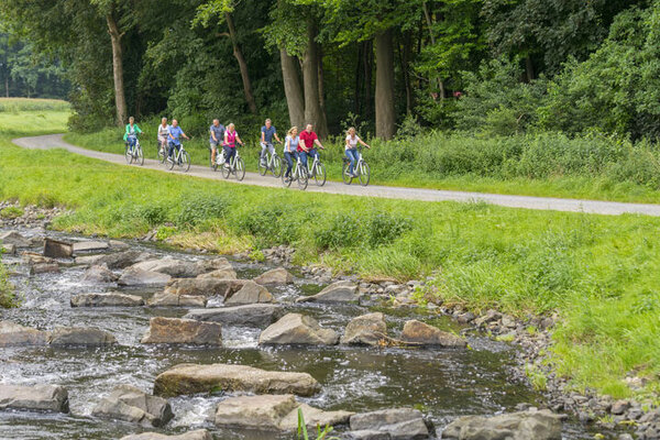 Einige Fahrradfahrer fahren auf einem Waldweg neben einem Bach.