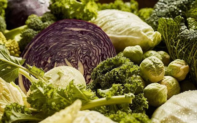 Rotkohl, Kohlrabi, Grünkohl und Rosenkohl: Unterschiedliche Kohlsorten liegen nebeneinander.
