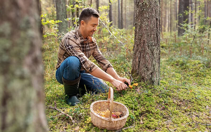 Ein glücklich lächelnder Mann mittleren Alters mit Weidenkorb voller Pilze im Herbstwald.