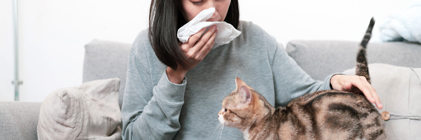 Eine Frau hat eine Katzenhaarallergie und schnäubt sich die Nase.