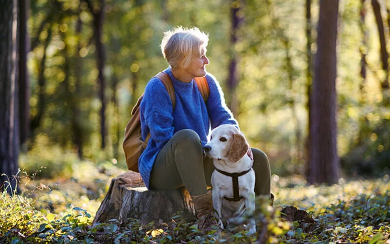 Eine Frau sitzt achtsam auf einem Baumstumpf im Wald und krault ihren Hund.