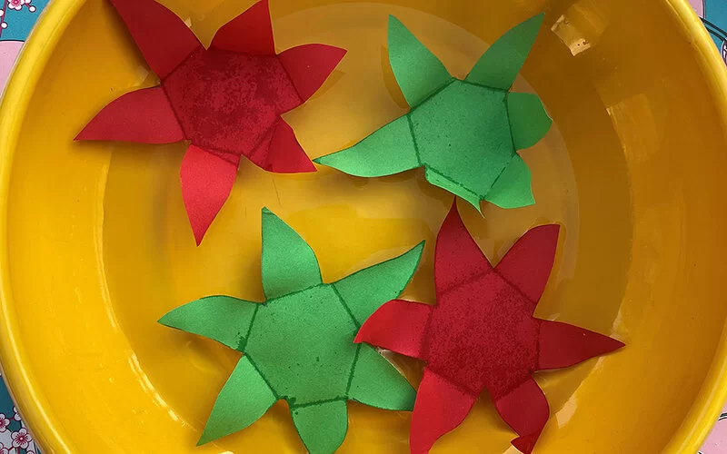 Vier Seerosen aus Tonpapier liegen in etwas Wasser in einer gelben Schale. Zwei sind grün und zwei rot.