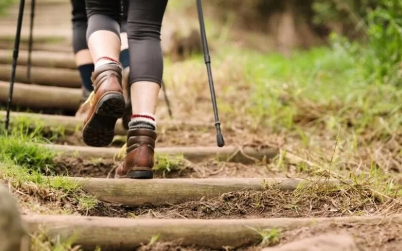 Zwei Personen wandern einen Treppenweg in der Natur hoch. 