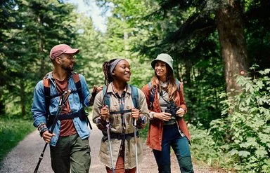 Zwei Frauen und ein Mann wandern mit Rucksäcken und Trekkingstöcken auf einem grünen Waldweg.