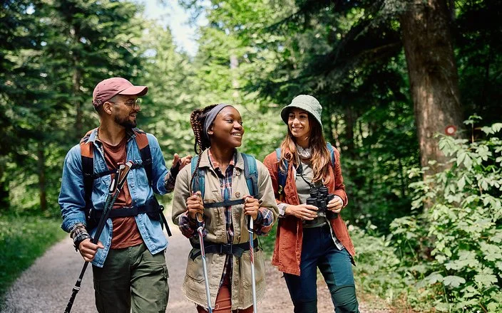 Zwei Frauen und ein Mann wandern mit Rucksäcken und Trekkingstöcken auf einem grünen Waldweg.