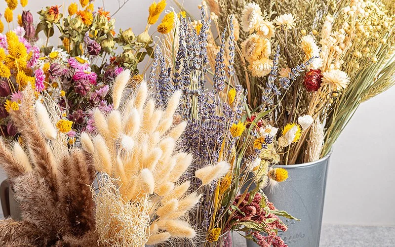 Drei Sträuße aus Trockenblumen stehen in Vasen.
