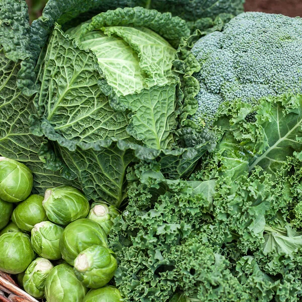 In einem Korb liegen Grünkohl, Brokkoli und Rosenkohl, die alle reich an Inhaltsstoffen sind.