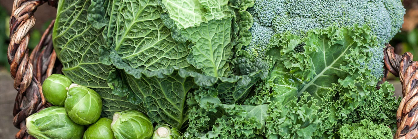 In einem Korb liegen Grünkohl, Brokkoli und Rosenkohl, die alle reich an Inhaltsstoffen sind.