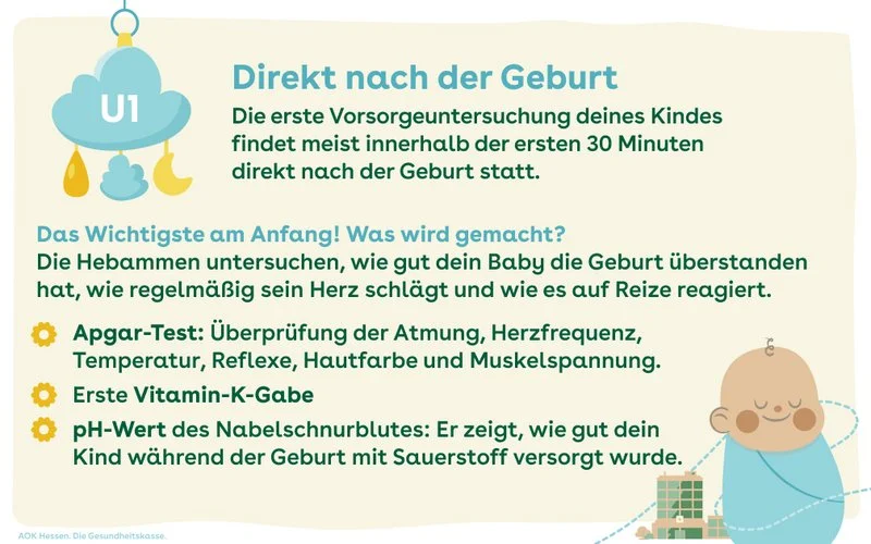 Die iNfograik zeigt eine Übersicht, welche Untersichungen direkt nach der Geburt gemacht werden.
