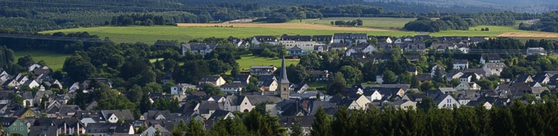 Eine Stadt, die mitten in den Wäldern liegt, ist abgebildet.