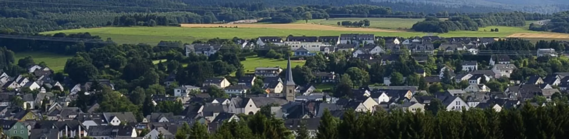 Eine Stadt, die mitten in den Wäldern liegt, ist abgebildet.