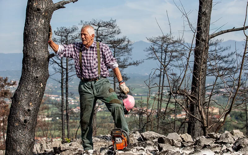 Ein älterer Förster überprüft in Schutzkleidung und mit Kettensäge den Baumbestand nach einem Waldbrand.