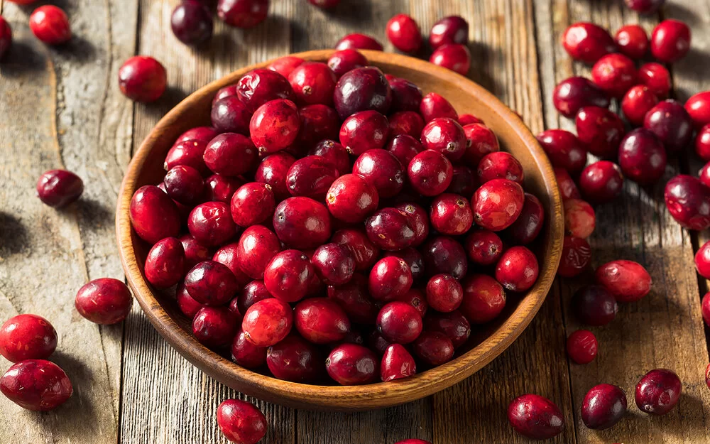 Rohe Cranberries in einer Schale.