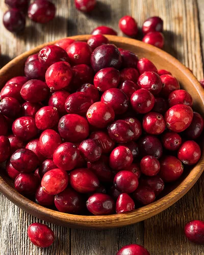 Rohe Cranberries in einer Schale.