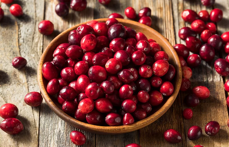 Rohe Cranberries in einer Schale.