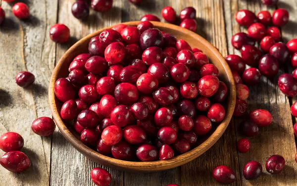 Rohe Cranberries in einer Schale.