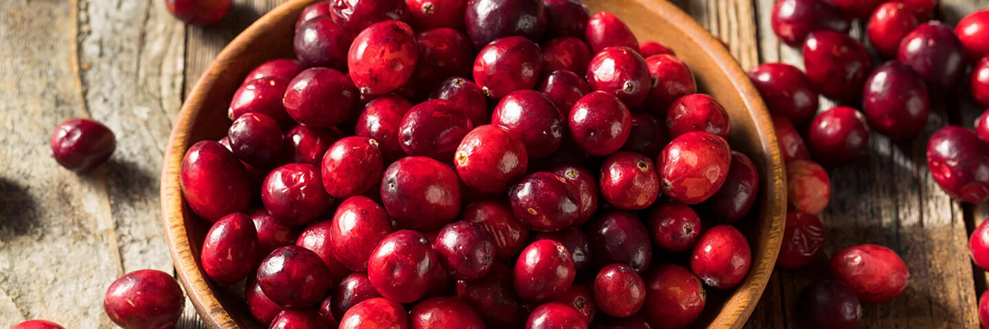 Rohe Cranberries in einer Schale.