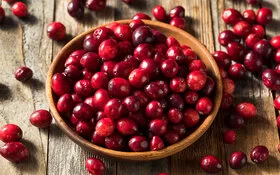 Rohe Cranberries in einer Schale.
