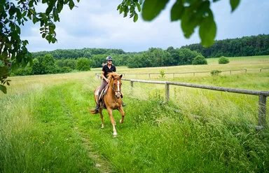 Eine Frau galoppiert mit einem Pferd auf einer Wiese.