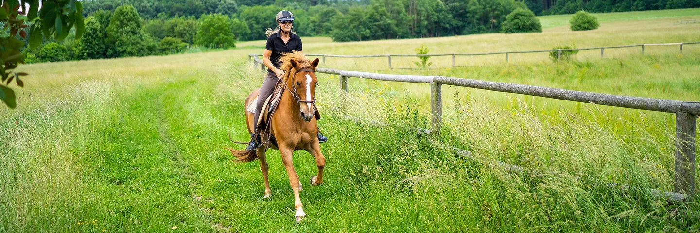 Eine Frau galoppiert mit einem Pferd auf einer Wiese.