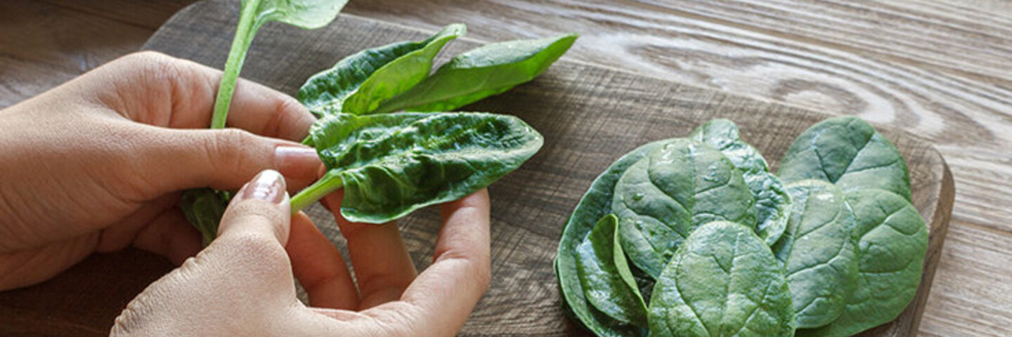 Frisch geernteter Spinat schmeckt toll in Frühlings-Rezepten.