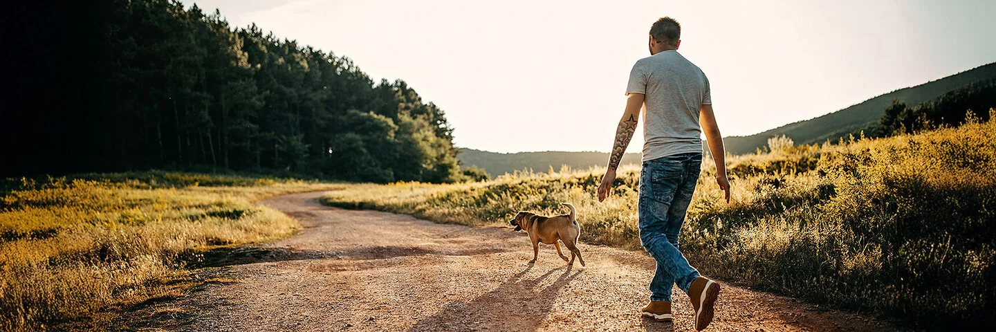 Wie viele Schritte am Tag halten gesund? Mann geht mit seinem Hund auf einem Feldweg spazieren.