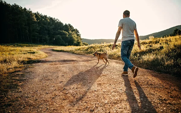 Wie viele Schritte am Tag halten gesund? Mann geht mit seinem Hund auf einem Feldweg spazieren.