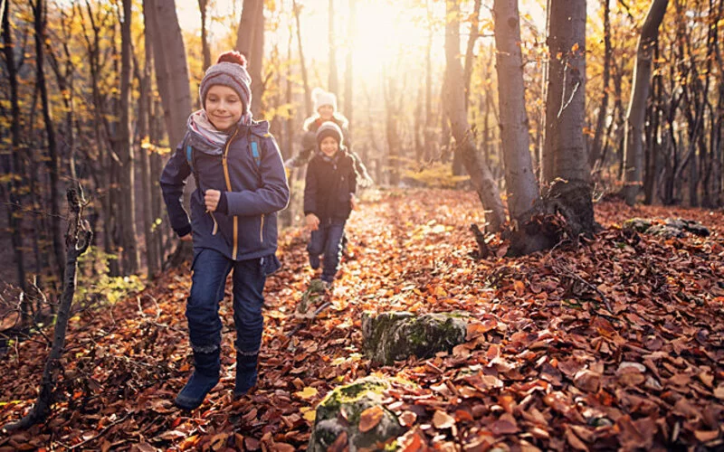 Drei Kinder laufen durch einen Herbstwald.