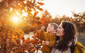 Eine junge Frau hält lächelnd einen etwa dreijährigen Jungen auf dem Arm, der ein rot verfärbtes Blatt von einer Eiche betrachtet. Durch den Baum scheint die untergehende Herbstsonne.