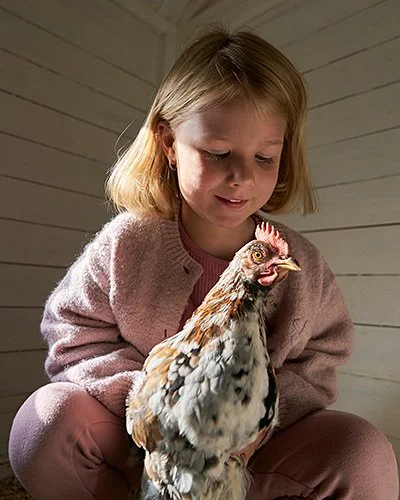 Nahaufnahme eines blonden Kindes in einem rosa Strickpullover, das in einem Holzhäuschen sitzt und ein bunt gefiedertes Huhn im Arm hält und ansieht. Das Kind lächelt sanft.