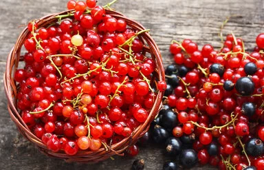 Auf einem rustikalen Holztisch stehen rote Johannisbeeren in einer kleinen Schüssel, daneben liegen rote und schwarze Beeren direkt auf dem Tisch.