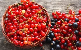 Auf einem rustikalen Holztisch stehen rote Johannisbeeren in einer kleinen Schüssel, daneben liegen rote und schwarze Beeren direkt auf dem Tisch.