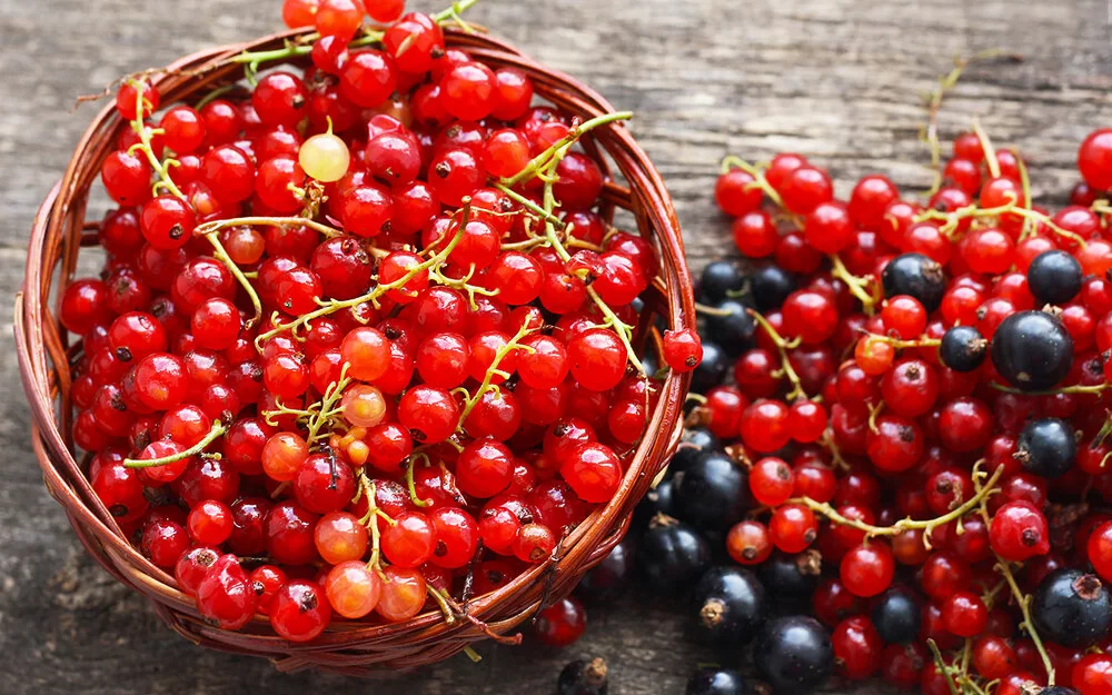 Auf einem rustikalen Holztisch stehen rote Johannisbeeren in einer kleinen Schüssel, daneben liegen rote und schwarze Beeren direkt auf dem Tisch.