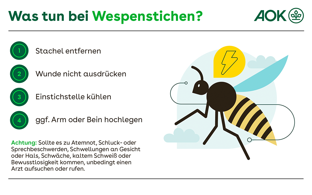 Wespenstich: So wird er richtig behandelt