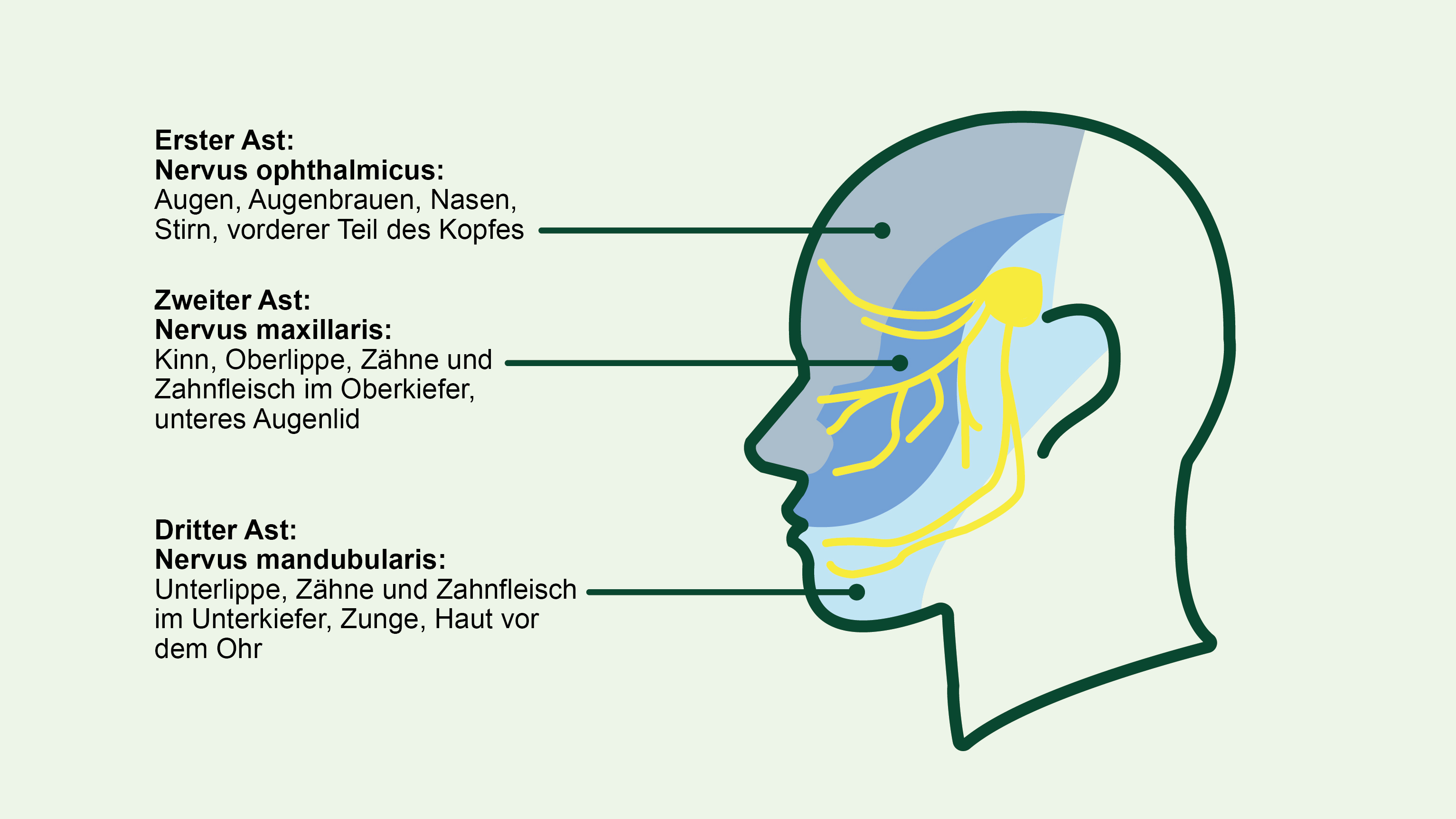 Was macht der Neurologe bei Trigeminusneuralgie?