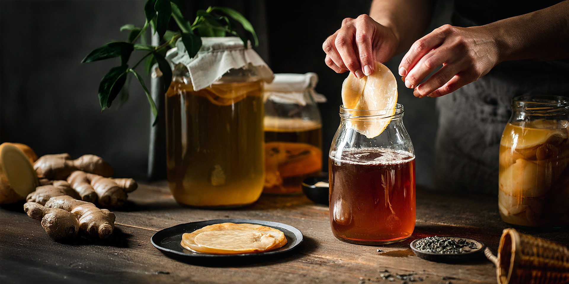 Eine Person entnimmt aus einem großen Glasgefäß die Pilzkultur zum Fermentieren.