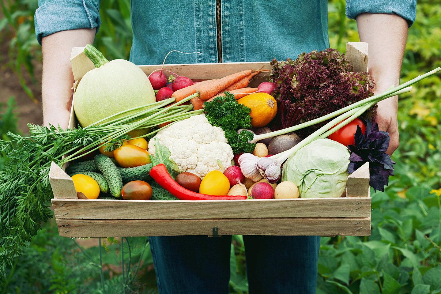 Person hält eine offene Holzkiste mit verschiedenem Gemüse in den Händen.