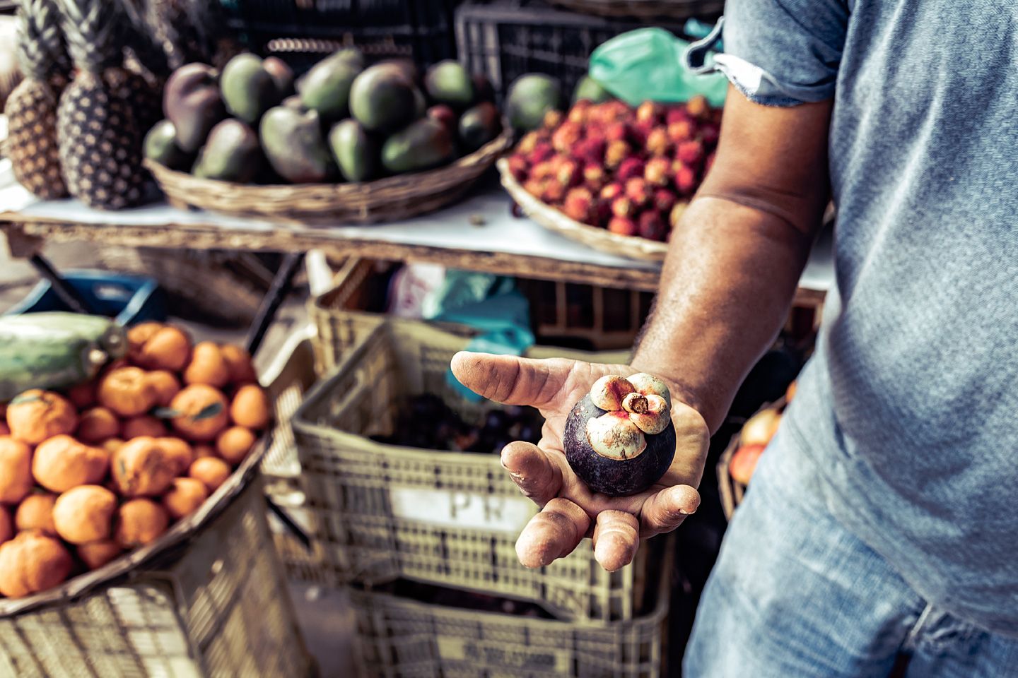 Ein Mann an einem Marktstand hält eine geschlossene Mangostan in der Hand.