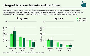 Grafik: Public Health Index: &Uuml;bergewicht ist eine Frage des sozialen Status