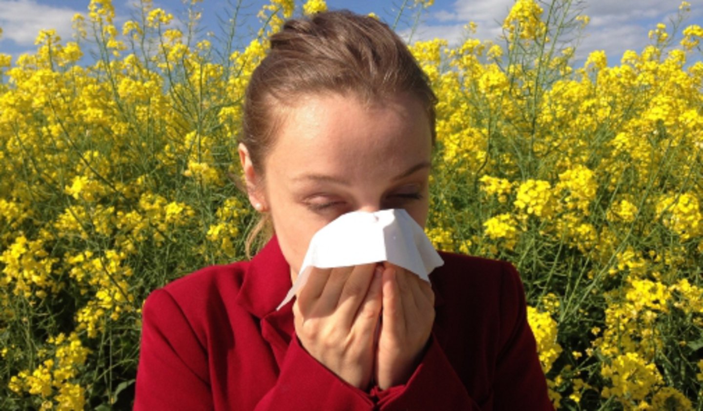 Pollenallergie