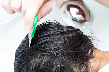 Ein Kopf mit schwarzen Haaren ist &uuml;ber einem Waschbecken geneigt, eine Hand zieht mit einem L&auml;usekamm durch die Haare.