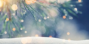 Weihnachtsgruß Das Bild zeigt einen Tannenzweig in Nahaufnahme und Weichzeichner mit Lichtreflexen, darunter eine leichte Schneedecke