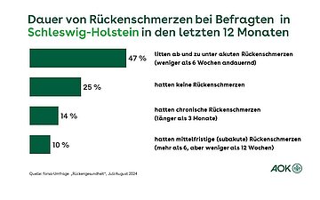 Die Grafik zeigt, wie lange Betroffene in Schleswig-Holstein unter R&uuml;ckenschmerzen leiden.