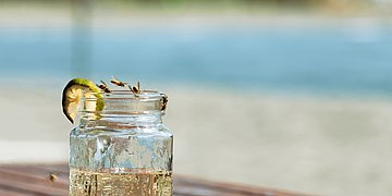 An einem Glas mit Limonade sitzen zwei Wespen. Eine fliegt in der Luft. Im Hintergrund kann man unscharf einen Strand erkennen.