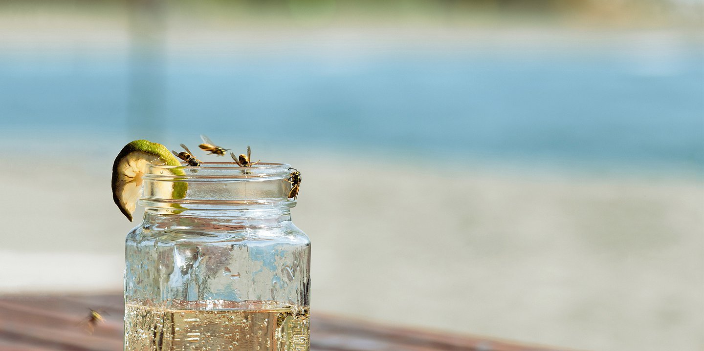 An einem Glas mit Limonade sitzen zwei Wespen. Eine fliegt in der Luft. Im Hintergrund kann man unscharf einen Strand erkennen.