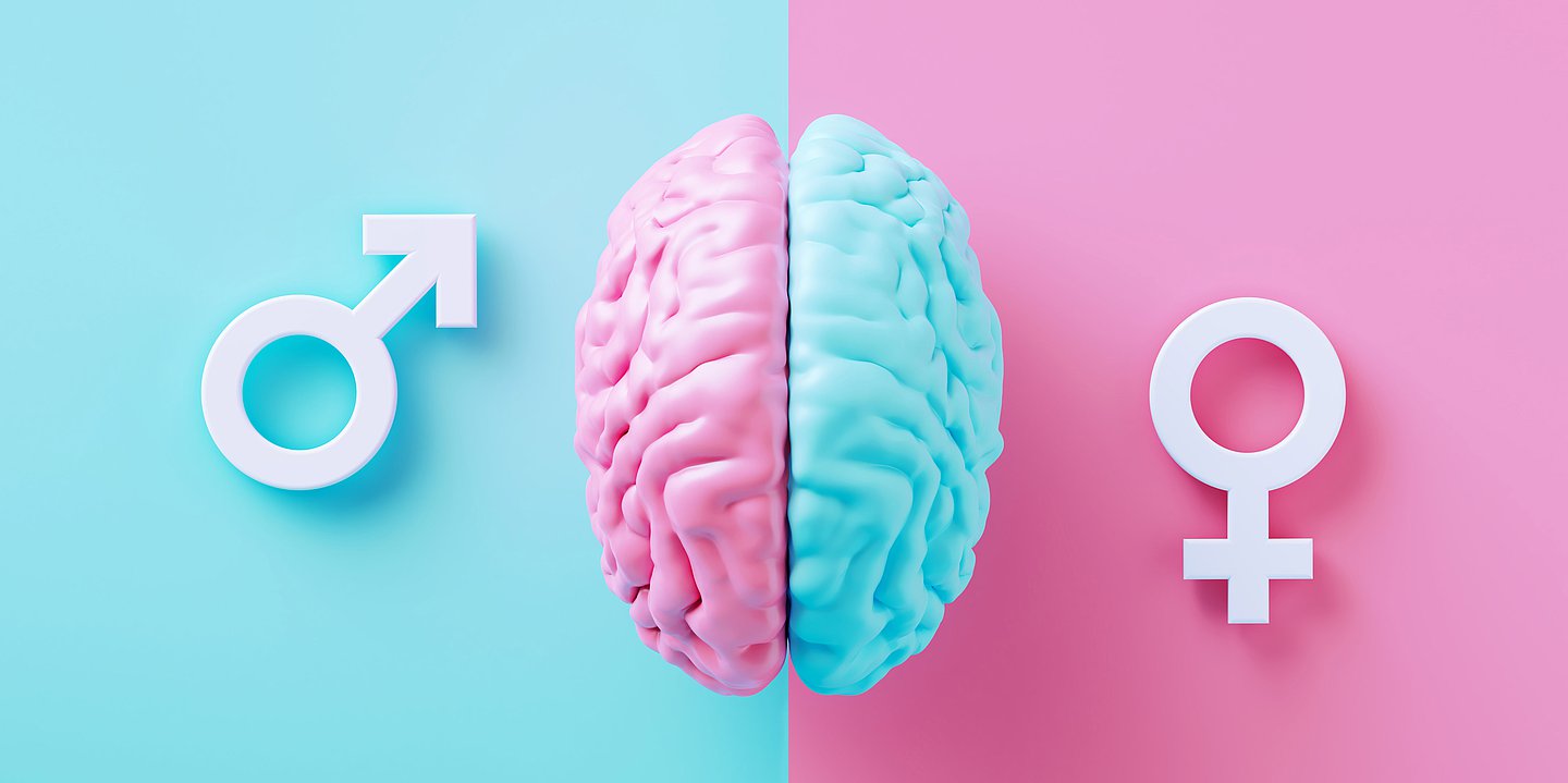 Foto: Illustration eines Gehirns, linke Hälfte pink, daneben das Symbol für "männlich" auf blauem Hintergrund, rechts eine blaue Gehirnhälfte, daneben das Symbol für "weiblich" auf pinkem Hintergrund.